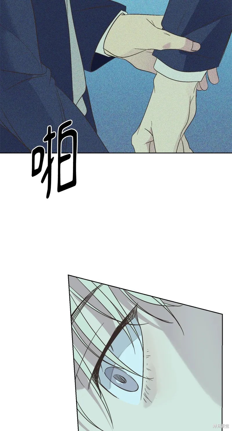 46.jpg